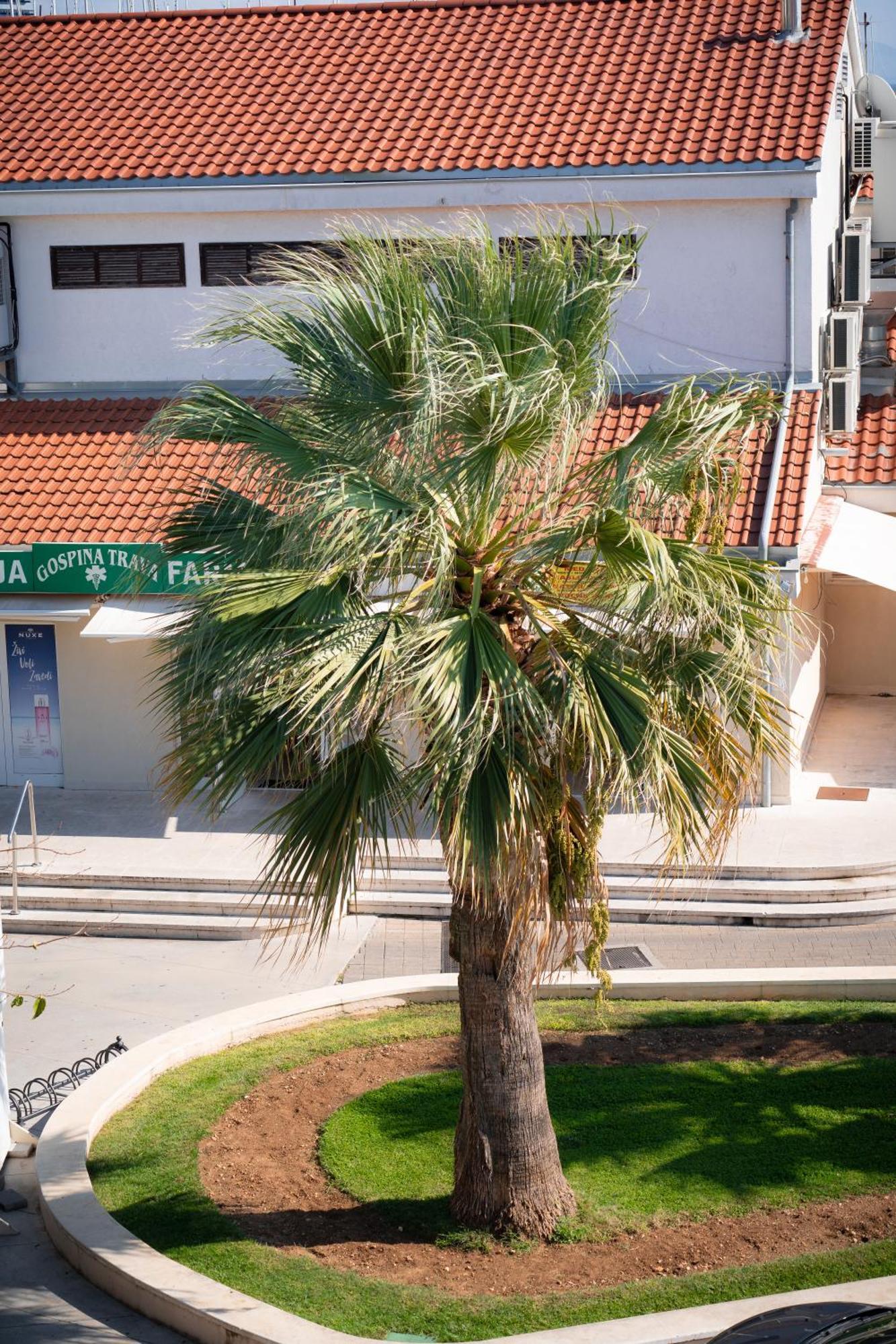 Apartments Centar Vodice Buitenkant foto